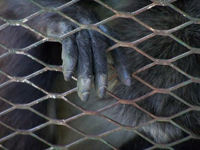 Comayagua y sus balnearios artificiales Comayagua y sus balnearios artificiales