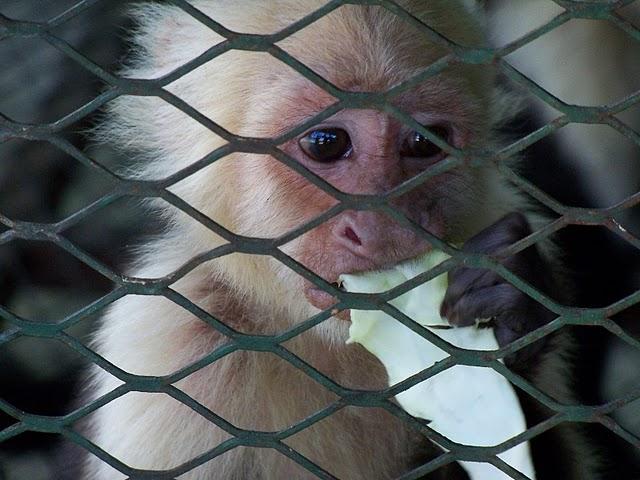 Comayagua y sus balnearios artificiales Comayagua y sus balnearios artificiales