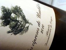 Beberás vino sueños