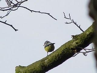 Algo más sobre Aramar Algo más sobre Aramar