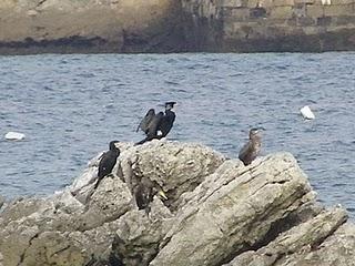 Algo más sobre Aramar Algo más sobre Aramar