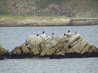 Algo más sobre Aramar Algo más sobre Aramar