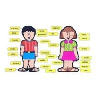 RECONOCEMOS LAS PARTES DEL CUERPO RECONOCEMOS LAS PARTES DEL CUERPO