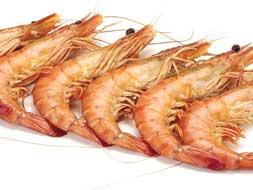 langostinos-1 Cuida tu dieta: alimentos que pueden producir alergias