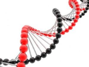 render of DNA Enfermedad celíaca y de Chron comparten variantes genéticas