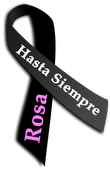 Rosa creará un blog en una estrella Rosa creará un blog en una estrella
