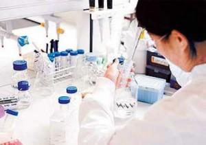 estudioadn El cáncer hereditario se puede combatir precozmente