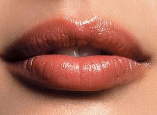 LOS LABIOS TIPS Y CUIDADOS PARA EL INVIERNO. LOS LABIOS TIPS Y CUIDADOS PARA EL INVIERNO.