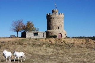 Hay que descubrir los encantos que encierra Navas del Rey (Madrid)