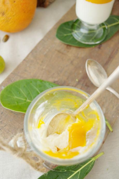 Pannacotta de guanábana con coulis de mango y yogurt, simplemente delicioso Pannacotta de guanábana con coulis de mango y yogurt, simplemente delicioso