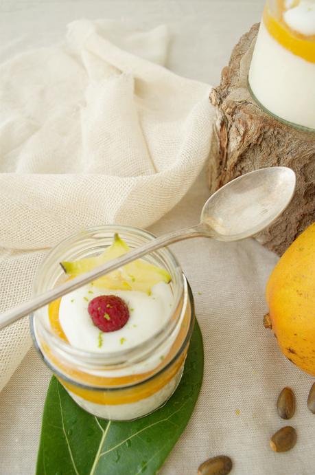 Pannacotta de guanábana con coulis de mango y yogurt, simplemente delicioso Pannacotta de guanábana con coulis de mango y yogurt, simplemente delicioso