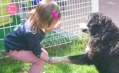 9 Ideas para preparar tu balcón o jardín para que lo disfruten vuestros hijos 9 Ideas para preparar tu balcón o jardín para que lo disfruten vuestros hijos