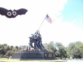 Calor DC. Washington. Calor DC. Washington.