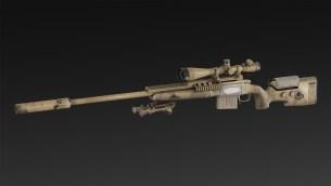 ES-25 + bipod + silencer + NATO 8x scope