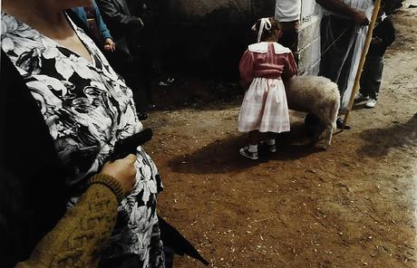 Cortar o no cortar, esa es la cuestión Cortar o no cortar, esa es la cuestión
