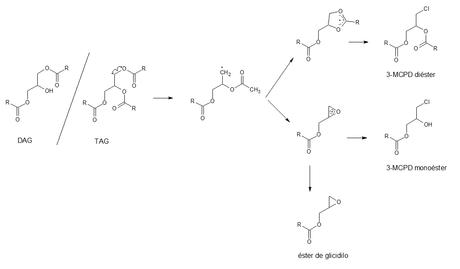 formación de los esteres de glicidol y 3-MCPD formación ésteres