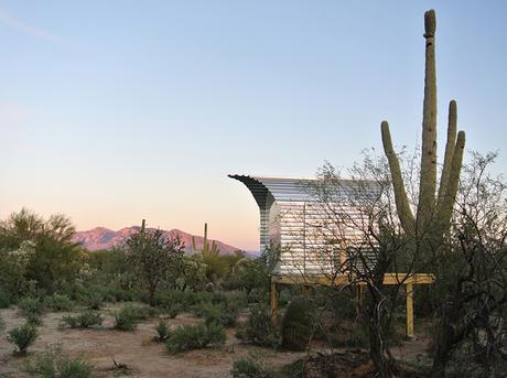 Jueves de Arquitectura: cacti lovers