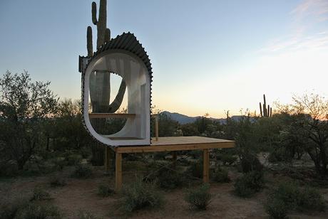 Jueves de Arquitectura: cacti lovers