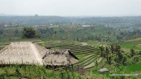 Bali; el famoso templo Ulun Danu Batur y los arrozales de Jatiluwih