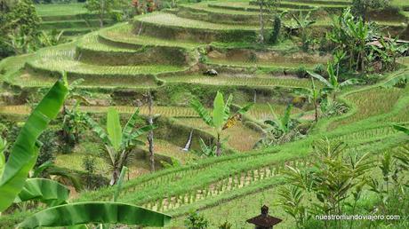 Bali; el famoso templo Ulun Danu Batur y los arrozales de Jatiluwih