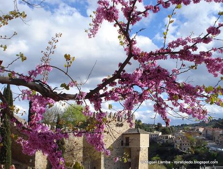 Colores de Toledo