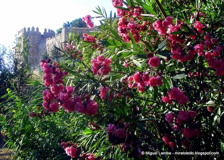 Colores de Toledo