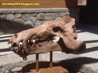 Las colinas pintadas de John Day Fossil Beds National Monument (Viaje por el Noroeste de los Estados Unidos XV) Las colinas pintadas de John Day Fossil Beds National Monument (Viaje por el Noroeste de los Estados Unidos XV)