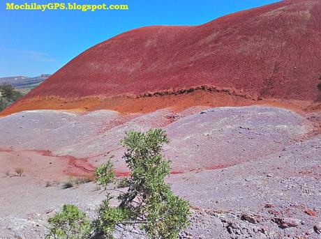 Las colinas pintadas de John Day Fossil Beds National Monument (Viaje por el Noroeste de los Estados Unidos XV) Las colinas pintadas de John Day Fossil Beds National Monument (Viaje por el Noroeste de los Estados Unidos XV)