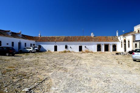 TREBUJENA, VIÑAS, RIO Y MARISMA