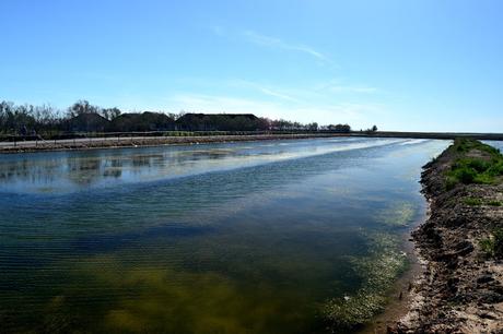 TREBUJENA, VIÑAS, RIO Y MARISMA