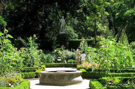 El Real Jardín Botánico De Madrid. Un Espacio Para Relajarse Y Descubrir La Naturaleza