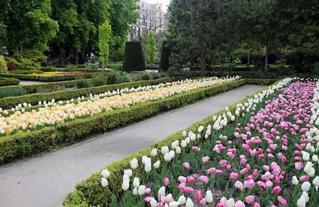 El Real Jardín Botánico De Madrid. Un Espacio Para Relajarse Y Descubrir La Naturaleza