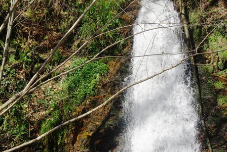 Vista parcial de la cascada