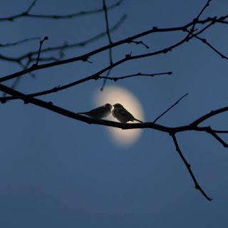 PARECE QUE LA LUNA ESTÁ DORMIDA...