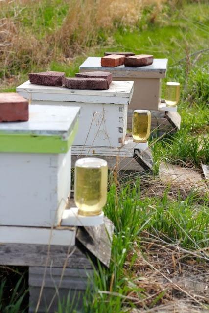 ALIMENTADOR EXTERNO - EXTERNAL FEEDER.