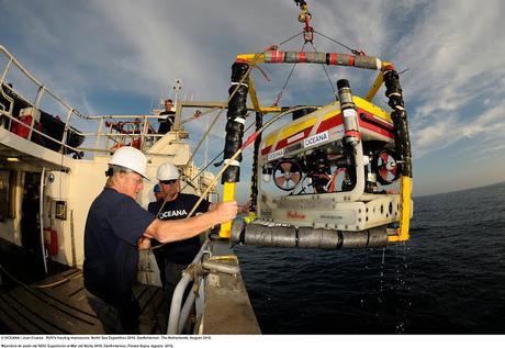 #stopoverfishing campaña Oceana sobrepesca mar