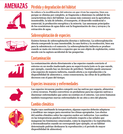 Qué sabemos de la Biocapacidad