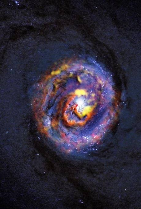 ✨La galaxia activa cercana NGC 1433 ✨La galaxia activa cercana NGC 1433