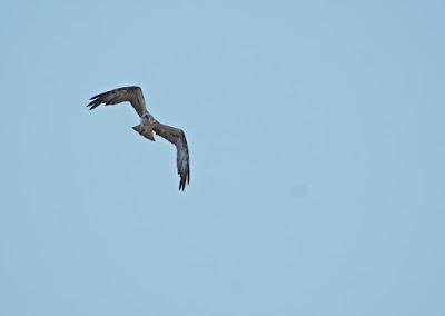 Escapada fotográfica a la isla de Sal, Cabo Verde