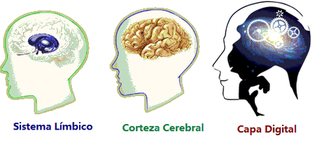 Aumentar el Poder del Cerebro por Medio de una Computadora: El Propósito de la Nueva Compañía de Elon Musk