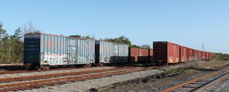 Junto al camino Junto al camino