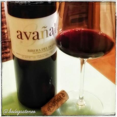 Avañate 2014 Avañate 2014