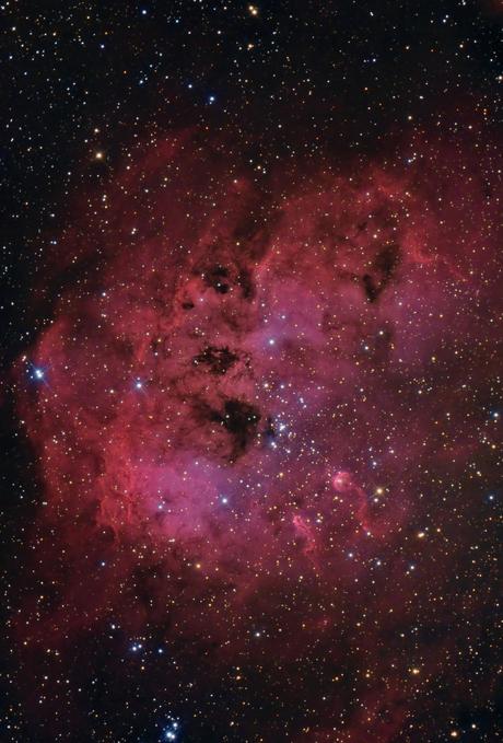 ✨IC 410 por Warren Keller