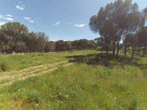 Campamento ECOFUN CAMP, ecología y circo para niños