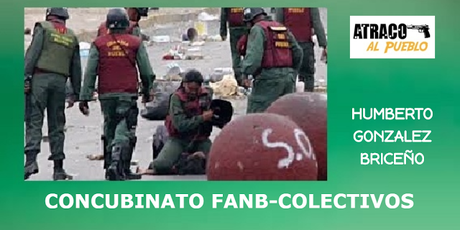 EL CONCUBINATO FANB-COLECTIVOS