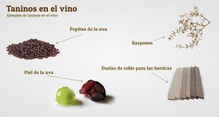 Los taninos en los vinos
