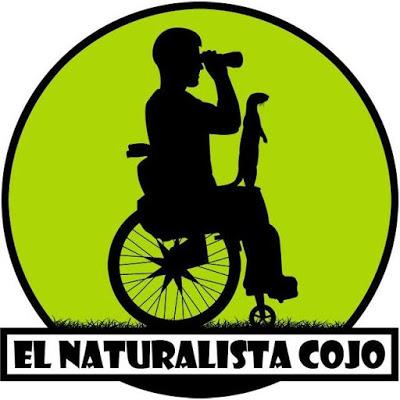 El Naturalista Cojo cumple su primer aniversario firmando una gran actuación en los Premios 20Blogs