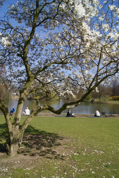 Marzo en imágenes - Solecito y Flores