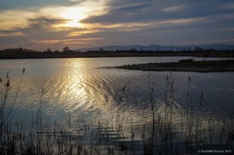 La laguna de Cal Tet, recuperando el medio natural en el Delta del Llobregat La laguna de Cal Tet, recuperando el medio natural en el Delta del Llobregat