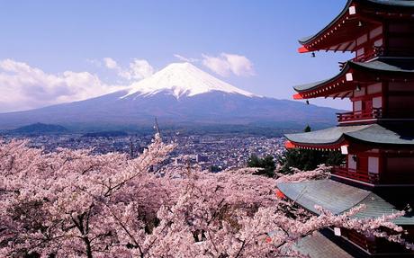 Sakura Sakura